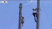 A Tree Climbing Competition