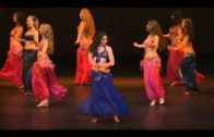 Sonia Belly Dance Superstar Performers