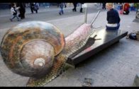 The Best Of 3D Street Art Illusions