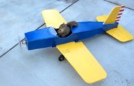 Squirrel Steals The Airplane