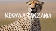 Lets Explore The Beautiful Landscapes Of Kenya And Tanzania
