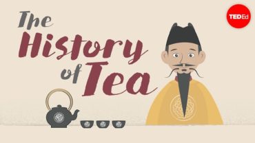 The Complete History Of Tea