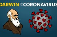 Where Do New Viruses Come From?